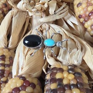 Cool Vintage Native American Navajo Turquoise & Onyx Ant Bug Brooch 🩵🐜🩶